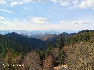IMG_20260419_113858_027.jpg
