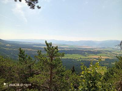 IMG_20260801_101118_585.jpg