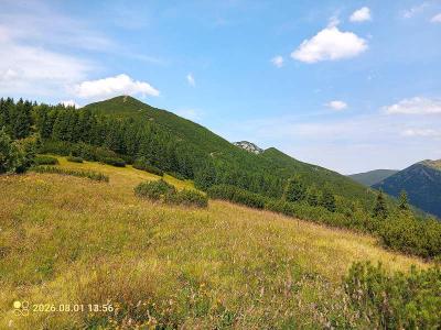 IMG_20260801_135632_866.jpg