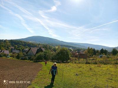 IMG_20261003_114137_359.jpg